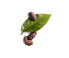Jojoba olie Jojoba olie